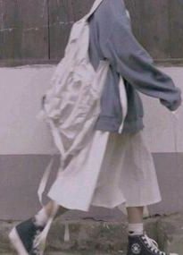 胤礽的太子群（清穿）