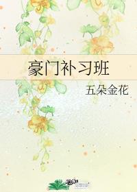 豪门补习班