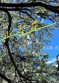 小梨花（校园hamp;amp;nbsp;amp;amp;nbsp;1V1）