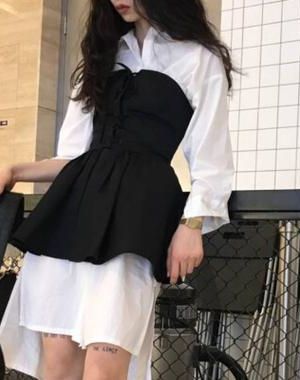 《笨蛋美人总是被坏狗调教（鬼畜坏狗攻x双性美人受）》作者衿白